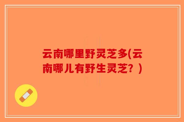 云南哪里野灵芝多(云南哪儿有野生灵芝？)-第1张图片-破壁灵芝孢子粉研究指南