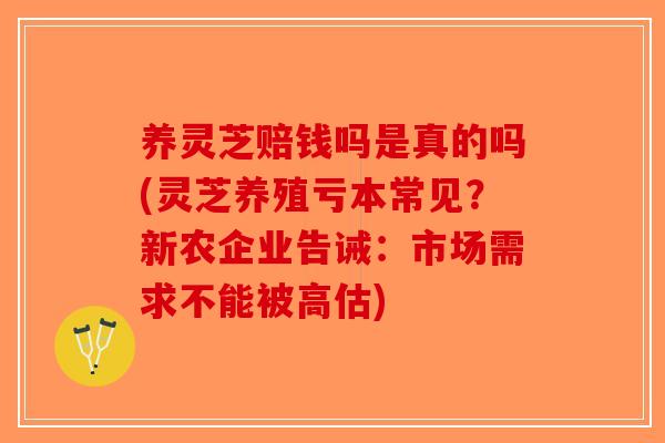 养灵芝赔钱吗是真的吗(灵芝养殖亏本常见?新农企业告诫:市场需求不能被高估)-第1张图片-破壁灵芝孢子粉研究指南 养灵芝赔钱吗是真的吗(灵芝养殖亏本常见?新农企业告诫:市场需求不能被高估)-第1张图片-破壁灵芝孢子粉研究指南