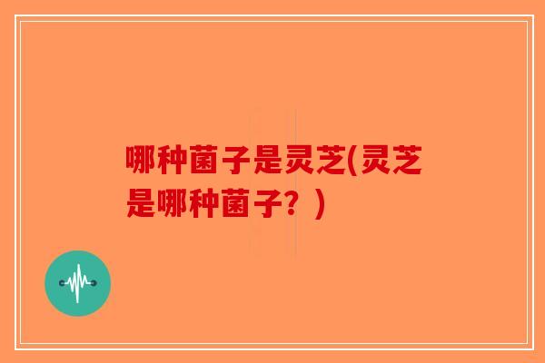 哪种菌子是灵芝(灵芝是哪种菌子？)-第1张图片-破壁灵芝孢子粉研究指南
