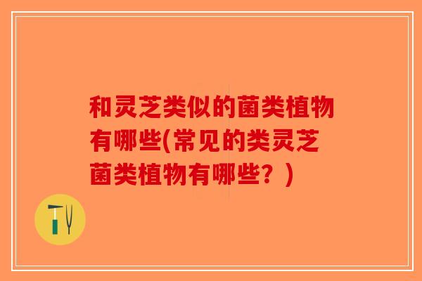 和灵芝类似的菌类植物有哪些(常见的类灵芝菌类植物有哪些？)-第1张图片-破壁灵芝孢子粉研究指南