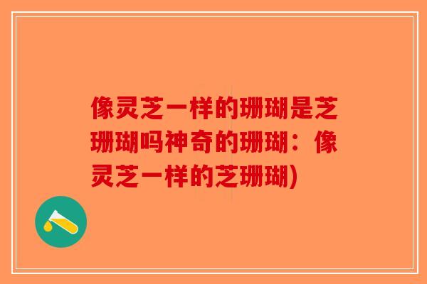像灵芝一样的珊瑚是芝珊瑚吗神奇的珊瑚:像灵芝一样的芝珊瑚)-第1张图片-破壁灵芝孢子粉研究指南 像灵芝一样的珊瑚是芝珊瑚吗神奇的珊瑚:像灵芝一样的芝珊瑚)-第1张图片-破壁灵芝孢子粉研究指南