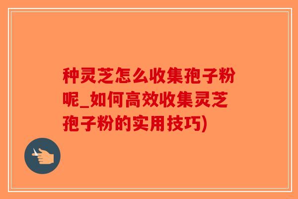 种灵芝怎么收集孢子粉呢_如何高效收集灵芝孢子粉的实用技巧)-第1张图片-破壁灵芝孢子粉研究指南 种灵芝怎么收集孢子粉呢_如何高效收集灵芝孢子粉的实用技巧)-第1张图片-破壁灵芝孢子粉研究指南