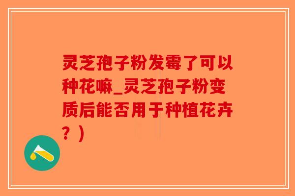 灵芝孢子粉发霉了可以种花嘛_灵芝孢子粉变质后能否用于种植花卉?)-第1张图片-破壁灵芝孢子粉研究指南 灵芝孢子粉发霉了可以种花嘛_灵芝孢子粉变质后能否用于种植花卉?)-第1张图片-破壁灵芝孢子粉研究指南