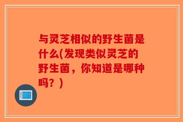 与灵芝相似的野生菌是什么(发现类似灵芝的野生菌,你知道是哪种吗?)-第1张图片-破壁灵芝孢子粉研究指南 与灵芝相似的野生菌是什么(发现类似灵芝的野生菌,你知道是哪种吗?)-第1张图片-破壁灵芝孢子粉研究指南
