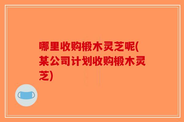 哪里收购椴木灵芝呢(某公司计划收购椴木灵芝)-第1张图片-破壁灵芝孢子粉研究指南 哪里收购椴木灵芝呢(某公司计划收购椴木灵芝)-第1张图片-破壁灵芝孢子粉研究指南