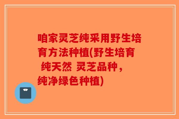 咱家灵芝纯采用野生培育方法种植(野生培育 纯天然 灵芝品种,纯净绿色种植)-第1张图片-破壁灵芝孢子粉研究指南 咱家灵芝纯采用野生培育方法种植(野生培育 纯天然 灵芝品种,纯净绿色种植)-第1张图片-破壁灵芝孢子粉研究指南