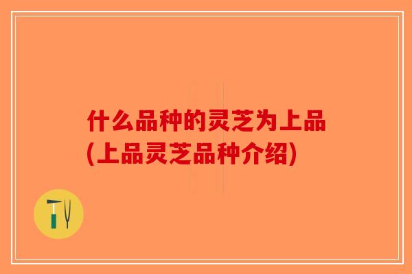 什么品种的灵芝为上品(上品灵芝品种介绍)-第1张图片-破壁灵芝孢子粉研究指南 什么品种的灵芝为上品(上品灵芝品种介绍)-第1张图片-破壁灵芝孢子粉研究指南