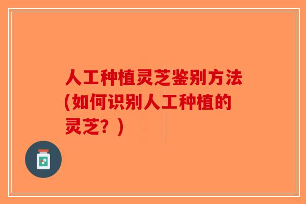 人工种植灵芝鉴别方法(如何识别人工种植的灵芝？)-第1张图片-破壁灵芝孢子粉研究指南