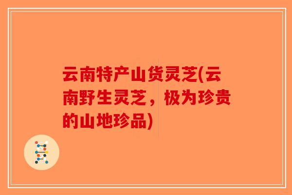 云南特产山货灵芝(云南野生灵芝,极为珍贵的山地珍品)-第1张图片-破壁灵芝孢子粉研究指南 云南特产山货灵芝(云南野生灵芝,极为珍贵的山地珍品)-第1张图片-破壁灵芝孢子粉研究指南