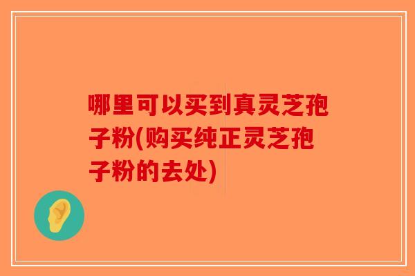 哪里可以买到真灵芝孢子粉(购买纯正灵芝孢子粉的去处)-第1张图片-破壁灵芝孢子粉研究指南 哪里可以买到真灵芝孢子粉(购买纯正灵芝孢子粉的去处)-第1张图片-破壁灵芝孢子粉研究指南