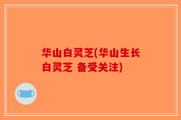 华山白灵芝(华山生长白灵芝 备受关注)-第1张图片-破壁灵芝孢子粉研究指南 华山白灵芝(华山生长白灵芝 备受关注)-第1张图片-破壁灵芝孢子粉研究指南