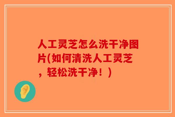 人工灵芝怎么洗干净图片(如何清洗人工灵芝,轻松洗干净!)-第1张图片-破壁灵芝孢子粉研究指南 人工灵芝怎么洗干净图片(如何清洗人工灵芝,轻松洗干净!)-第1张图片-破壁灵芝孢子粉研究指南