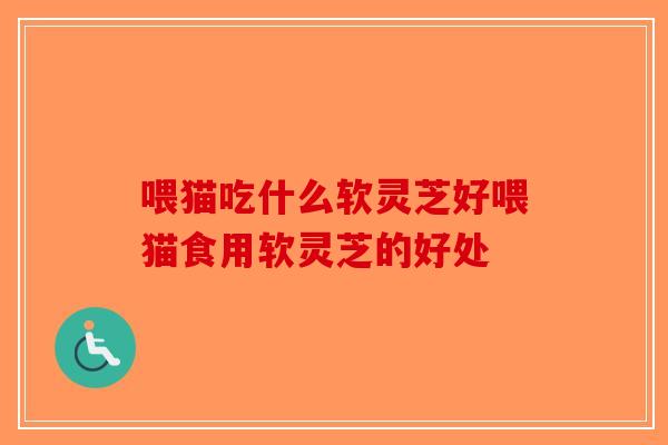 喂猫吃什么软灵芝好喂猫食用软灵芝的好处-第1张图片-破壁灵芝孢子粉研究指南