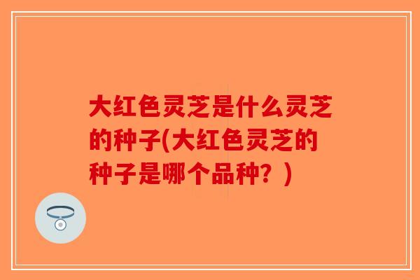大红色灵芝是什么灵芝的种子(大红色灵芝的种子是哪个品种?)-第1张图片-破壁灵芝孢子粉研究指南 大红色灵芝是什么灵芝的种子(大红色灵芝的种子是哪个品种?)-第1张图片-破壁灵芝孢子粉研究指南