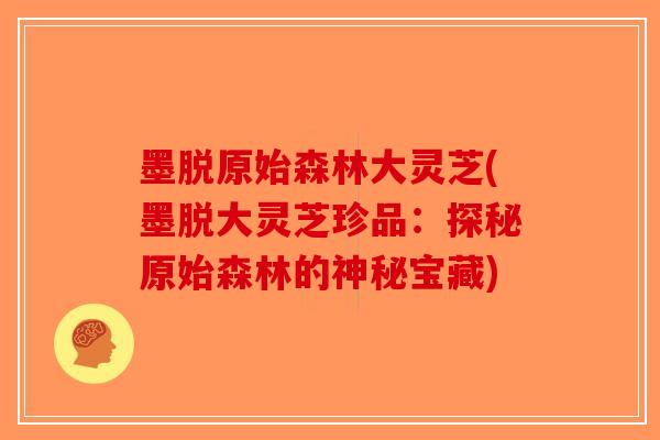 墨脱原始森林大灵芝(墨脱大灵芝珍品：探秘原始森林的神秘宝藏)-第1张图片-破壁灵芝孢子粉研究指南