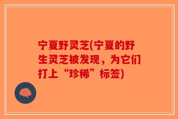 宁夏野灵芝(宁夏的野生灵芝被发现,为它们打上“珍稀”标签)-第1张图片-破壁灵芝孢子粉研究指南 宁夏野灵芝(宁夏的野生灵芝被发现,为它们打上“珍稀”标签)-第1张图片-破壁灵芝孢子粉研究指南