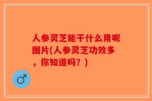 人参灵芝能干什么用呢图片(人参灵芝功效多,你知道吗?)-第1张图片-破壁灵芝孢子粉研究指南 人参灵芝能干什么用呢图片(人参灵芝功效多,你知道吗?)-第1张图片-破壁灵芝孢子粉研究指南