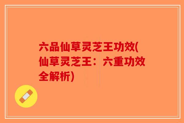 六品仙草灵芝王功效(仙草灵芝王：六重功效全解析)-第1张图片-破壁灵芝孢子粉研究指南