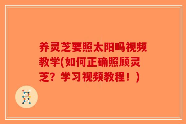 养灵芝要照太阳吗视频教学(如何正确照顾灵芝?学习视频教程!)-第1张图片-破壁灵芝孢子粉研究指南 养灵芝要照太阳吗视频教学(如何正确照顾灵芝?学习视频教程!)-第1张图片-破壁灵芝孢子粉研究指南