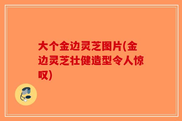 大个金边灵芝图片(金边灵芝壮健造型令人惊叹)-第1张图片-破壁灵芝孢子粉研究指南 大个金边灵芝图片(金边灵芝壮健造型令人惊叹)-第1张图片-破壁灵芝孢子粉研究指南