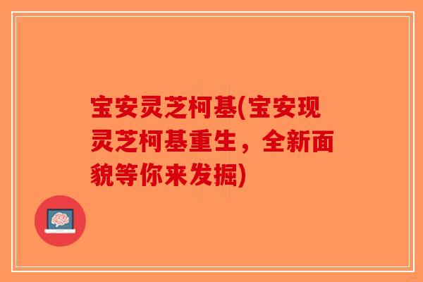 宝安灵芝柯基(宝安现灵芝柯基重生，全新面貌等你来发掘)-第1张图片-破壁灵芝孢子粉研究指南