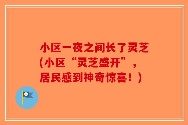小区一夜之间长了灵芝(小区“灵芝盛开”，居民感到神奇惊喜！)-第1张图片-破壁灵芝孢子粉研究指南