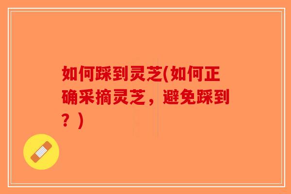 如何踩到灵芝(如何正确采摘灵芝，避免踩到？)-第1张图片-破壁灵芝孢子粉研究指南