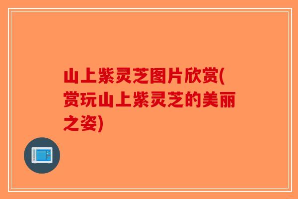 山上紫灵芝图片欣赏(赏玩山上紫灵芝的美丽之姿)-第1张图片-破壁灵芝孢子粉研究指南 山上紫灵芝图片欣赏(赏玩山上紫灵芝的美丽之姿)-第1张图片-破壁灵芝孢子粉研究指南