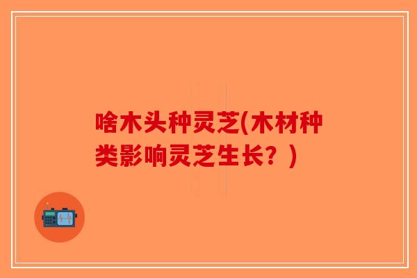 啥木头种灵芝(木材种类影响灵芝生长?)-第1张图片-破壁灵芝孢子粉研究指南 啥木头种灵芝(木材种类影响灵芝生长?)-第1张图片-破壁灵芝孢子粉研究指南