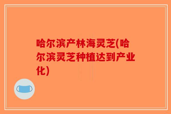 哈尔滨产林海灵芝(哈尔滨灵芝种植达到产业化)-第1张图片-破壁灵芝孢子粉研究指南 哈尔滨产林海灵芝(哈尔滨灵芝种植达到产业化)-第1张图片-破壁灵芝孢子粉研究指南