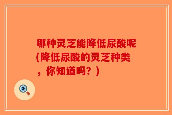 哪种灵芝能降低尿酸呢(降低尿酸的灵芝种类,你知道吗?)-第1张图片-破壁灵芝孢子粉研究指南 哪种灵芝能降低尿酸呢(降低尿酸的灵芝种类,你知道吗?)-第1张图片-破壁灵芝孢子粉研究指南