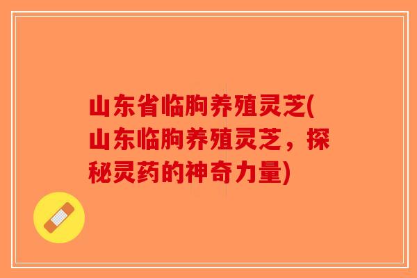 山东省临朐养殖灵芝(山东临朐养殖灵芝，探秘灵药的神奇力量)-第1张图片-破壁灵芝孢子粉研究指南