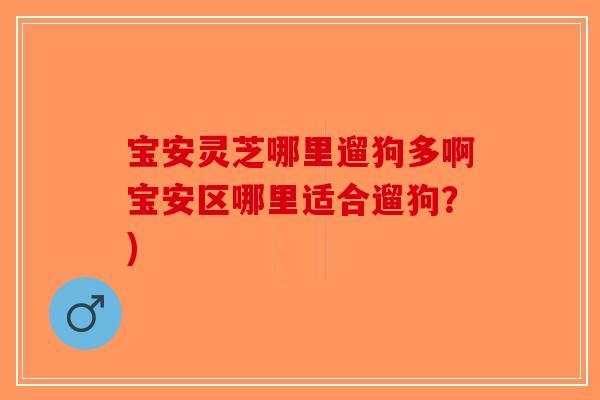 宝安灵芝哪里遛狗多啊宝安区哪里适合遛狗？)-第1张图片-破壁灵芝孢子粉研究指南
