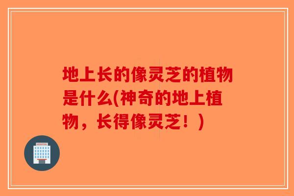 地上长的像灵芝的植物是什么(神奇的地上植物，长得像灵芝！)-第1张图片-破壁灵芝孢子粉研究指南