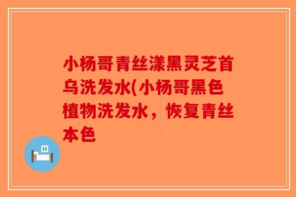 小杨哥青丝漾黑灵芝首乌洗发水(小杨哥黑色植物洗发水，恢复青丝本色-第1张图片-破壁灵芝孢子粉研究指南
