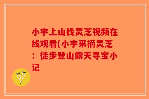小宇上山找灵芝视频在线观看(小宇采摘灵芝：徒步登山露天寻宝小记-第1张图片-破壁灵芝孢子粉研究指南