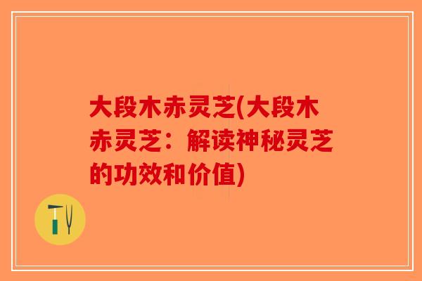 大段木赤灵芝(大段木赤灵芝：解读神秘灵芝的功效和价值)-第1张图片-破壁灵芝孢子粉研究指南
