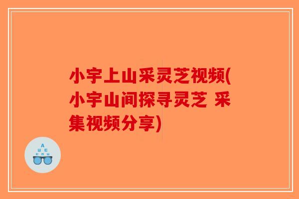 小宇上山采灵芝视频(小宇山间探寻灵芝 采集视频分享)-第1张图片-破壁灵芝孢子粉研究指南