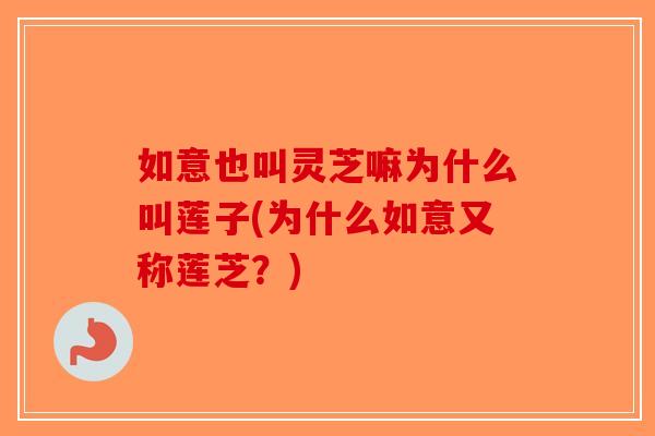 如意也叫灵芝嘛为什么叫莲子(为什么如意又称莲芝？)-第1张图片-破壁灵芝孢子粉研究指南