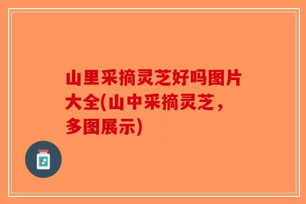 山里采摘灵芝好吗图片大全(山中采摘灵芝，多图展示)-第1张图片-破壁灵芝孢子粉研究指南