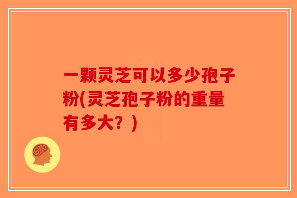 一颗灵芝可以多少孢子粉(灵芝孢子粉的重量有多大？)-第1张图片-破壁灵芝孢子粉研究指南