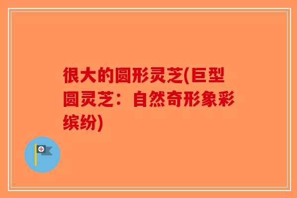 很大的圆形灵芝(巨型圆灵芝：自然奇形象彩缤纷)-第1张图片-破壁灵芝孢子粉研究指南