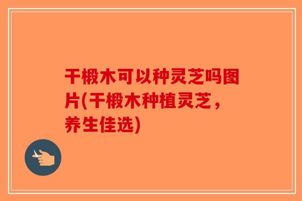 干椴木可以种灵芝吗图片(干椴木种植灵芝，养生佳选)-第1张图片-破壁灵芝孢子粉研究指南