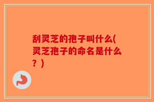 刮灵芝的孢子叫什么(灵芝孢子的命名是什么?)-第1张图片-破壁灵芝孢子粉研究指南 刮灵芝的孢子叫什么(灵芝孢子的命名是什么?)-第1张图片-破壁灵芝孢子粉研究指南