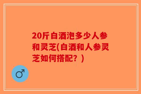 20斤白酒泡多少人参和灵芝(白酒和人参灵芝如何搭配?)-第1张图片-破壁灵芝孢子粉研究指南 20斤白酒泡多少人参和灵芝(白酒和人参灵芝如何搭配?)-第1张图片-破壁灵芝孢子粉研究指南