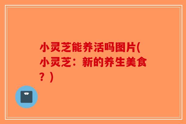 小灵芝能养活吗图片(小灵芝：新的养生美食？)-第1张图片-破壁灵芝孢子粉研究指南