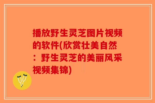 播放野生灵芝图片视频的软件(欣赏壮美自然：野生灵芝的美丽风采视频集锦)-第1张图片-破壁灵芝孢子粉研究指南