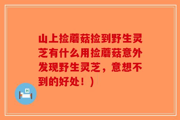 山上捡蘑菇捡到野生灵芝有什么用捡蘑菇意外发现野生灵芝，意想不到的好处！)-第1张图片-破壁灵芝孢子粉研究指南
