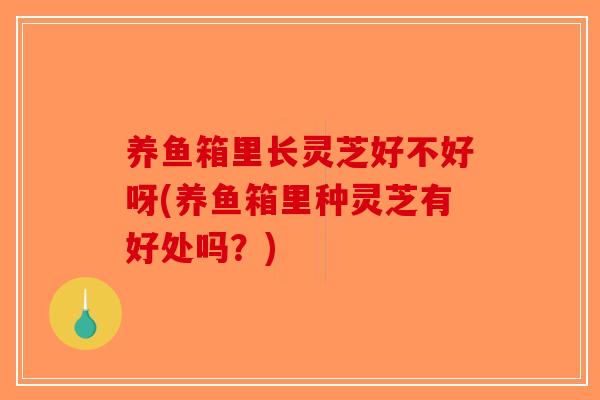 养鱼箱里长灵芝好不好呀(养鱼箱里种灵芝有好处吗?)-第1张图片-破壁灵芝孢子粉研究指南 养鱼箱里长灵芝好不好呀(养鱼箱里种灵芝有好处吗?)-第1张图片-破壁灵芝孢子粉研究指南