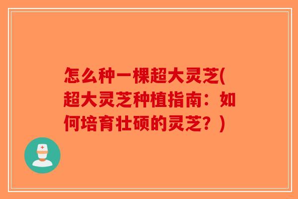 怎么种一棵超大灵芝(超大灵芝种植指南：如何培育壮硕的灵芝？)-第1张图片-破壁灵芝孢子粉研究指南